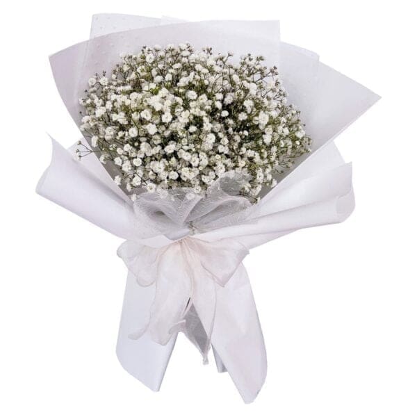 Babys-Breath-Flower-Bouquet-Pink-Petals