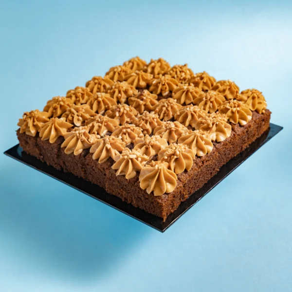 PB_CAKEBITES_ELEVETE-2