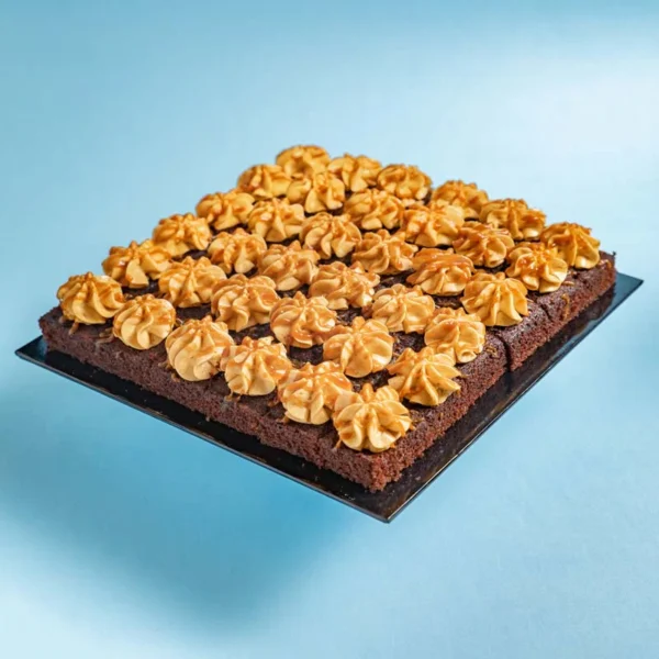 cake-bites-salted-caramel-chocolate-2