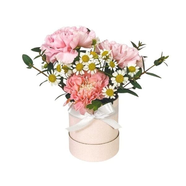 Mini-Ava-Daisy-Bloom-Box