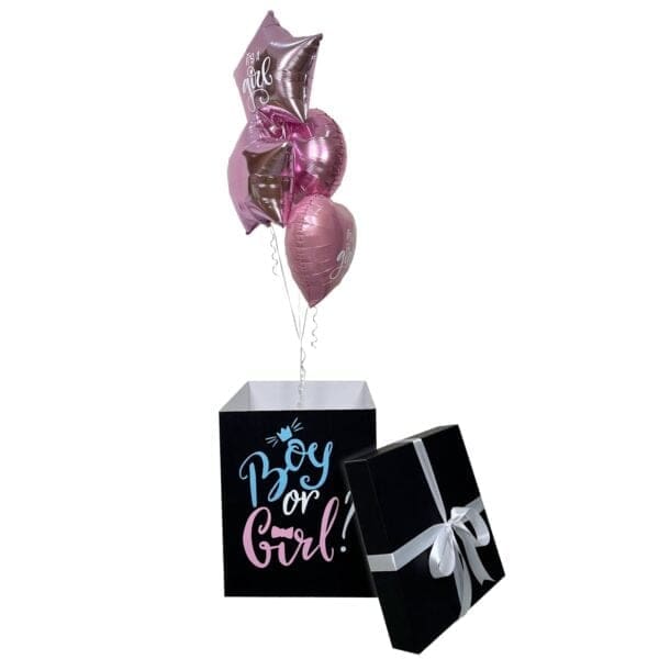 Surprise Gender Reveal In A Box - Boy or Girl